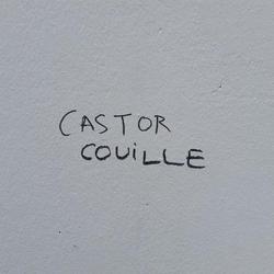 Auteur inconnu. Lyon, 2020.