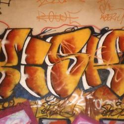 Risk. Paris, 1989.