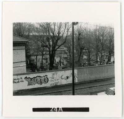 Webo, Dee Nasty, auteur inconnu. 1986. 