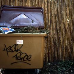 Actuel Force. Aubervilliers, 1985. 