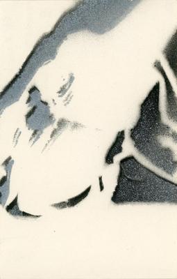 Spray, 1986.