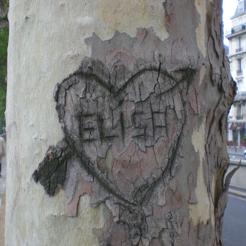 Auteur inconnu. Paris, 2010.