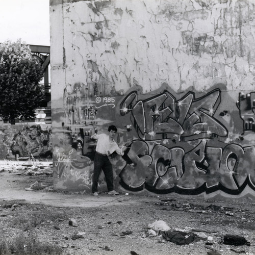 Irus, Scipion. Paris, 1985.