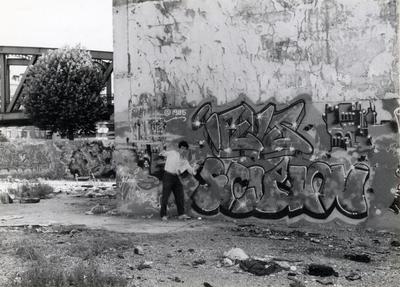 Irus, Scipion. Paris, 1985.