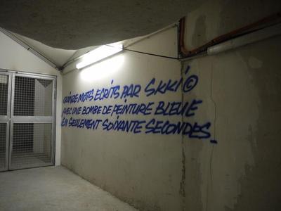 Lasco Project 1 / Terrains Vagues / Niveau 1 / Mur 8 Skki
