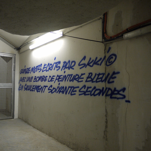 Lasco Project 1 / Terrains Vagues / Niveau 1 / Mur 8 Skki