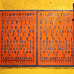 Lasco Project 1 / Terrains Vagues / Affichage / P11