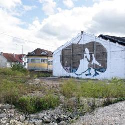 Sam3 - Sans titre 1. Besançon, 2011.
