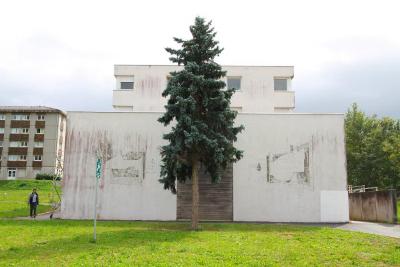 Daniel Munoz - What tells a spectator to a witness. Besançon, 2011.