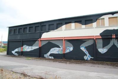 Sam3 - Border. Besançon, 2011.