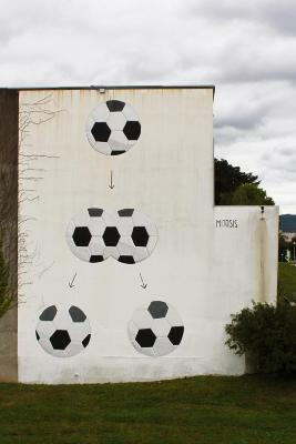 Escif - Mitosis. Besançon, 2011.