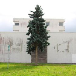 Daniel Munoz - What tells a spectator to a witness. Besançon, 2011.