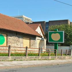 Ox - Besançon 2011 - 5