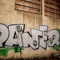 Paner, Obsek. Besançon, 1995.