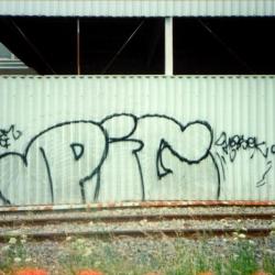 Pig. 1996.
