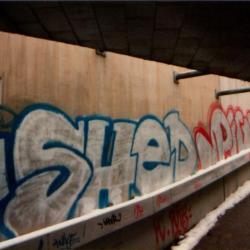 Shed, Pig. Besançon, 1997.