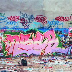 Inser, Paris, 1992.