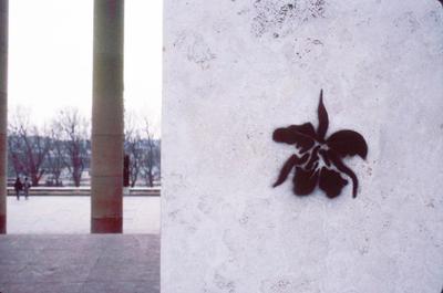 Auteur inconnu. Paris 1985.