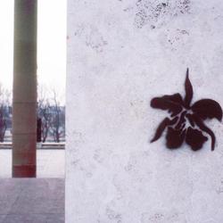 Auteur inconnu. Paris 1985.