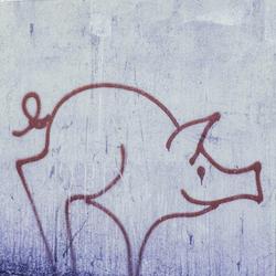 Bruno les Cochons. Paris, 1986.